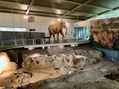 Waco Mammoth National Monument