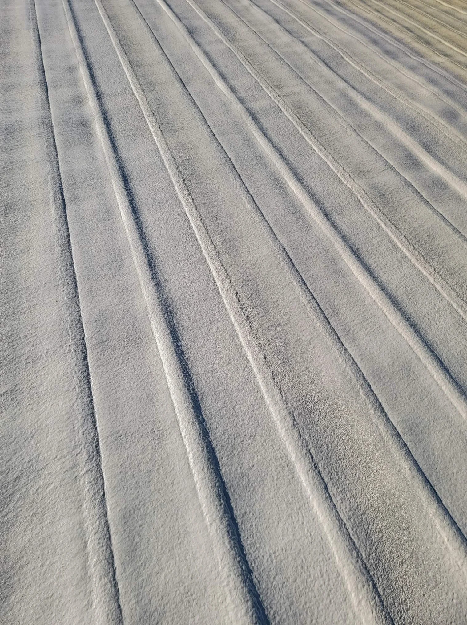 Is Roof Insulation Needed in All Climates? 